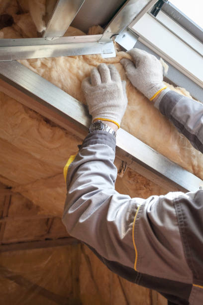 Types of Insulation We Offer in Chicago, IL